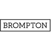 Brompton RR Dyn Lamp Solo